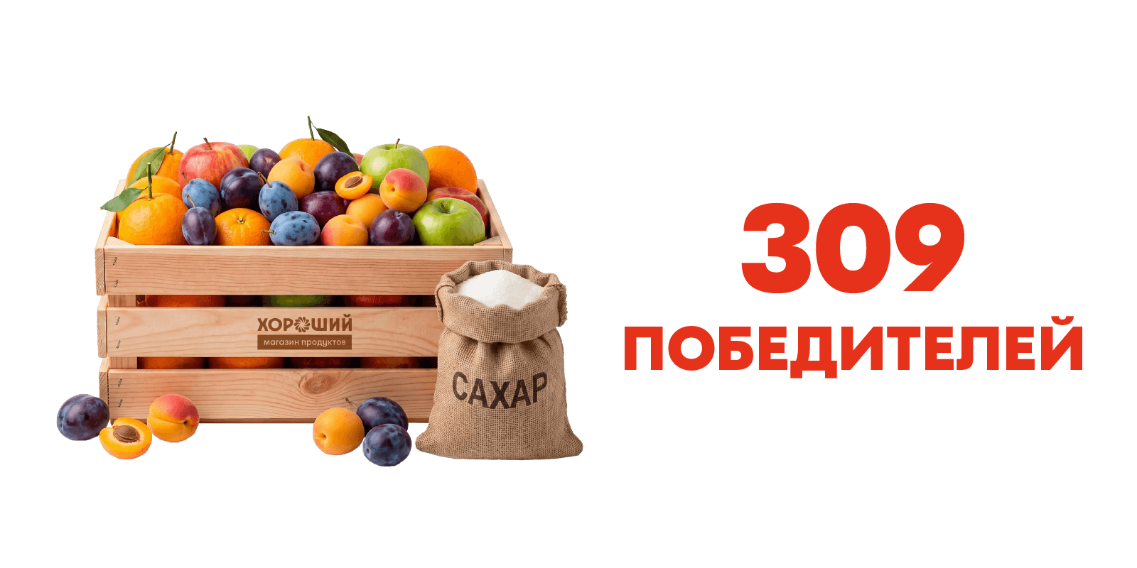 309 победителей